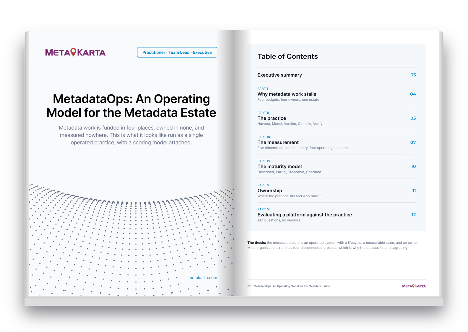 MetadataOps: An Operating Model for the Metadata Estate white paper